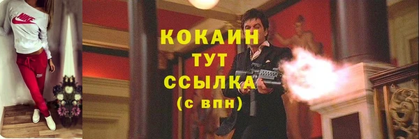 МДПВ Липки
