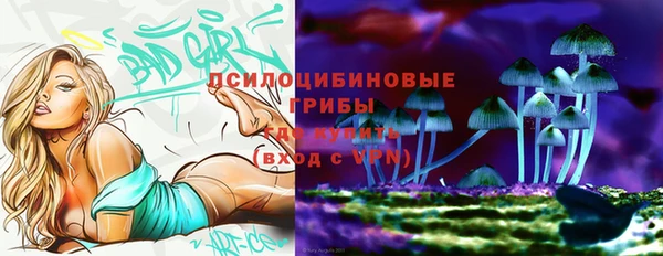 МДПВ Липки