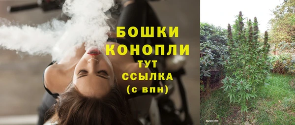 МДПВ Липки